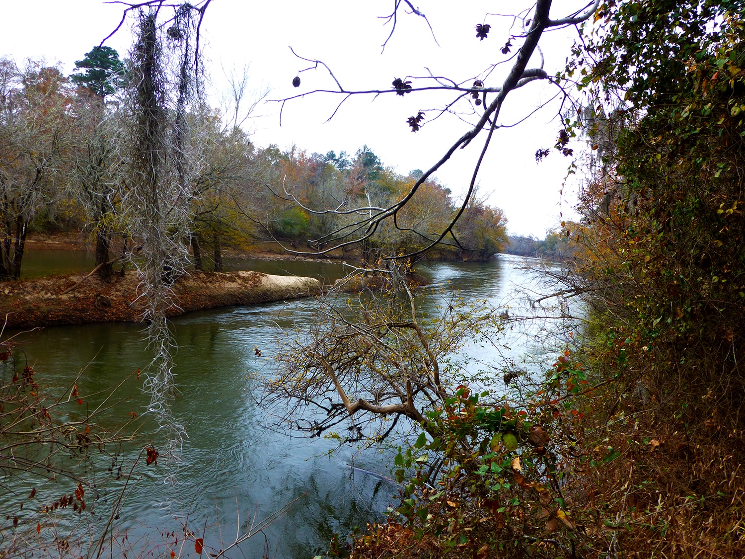 Sandy Creek Rd & Black Bear Rd, Toomsboro, GA for sale Building Photo- Image 1 of 1