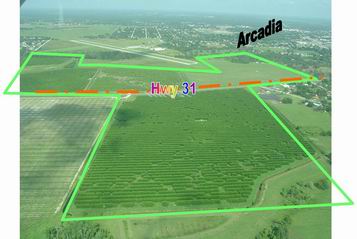 1313 SE HWY 31, Arcadia, FL for sale - Building Photo - Image 1 of 1