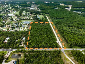 More details for 0 Old Dixie Highway, Bunnell, FL - Land for Sale