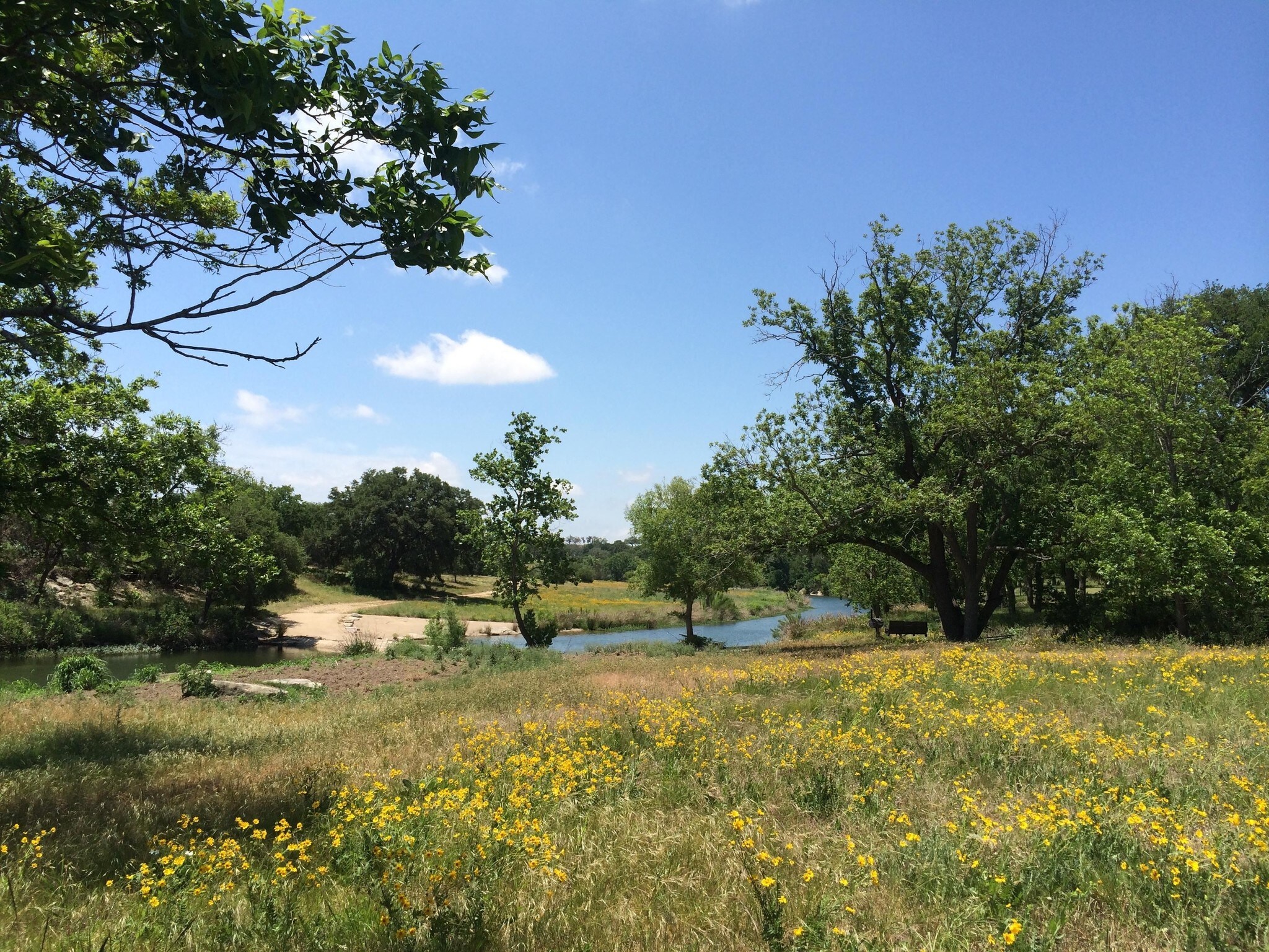25501 Ranch Road 12, Dripping Springs, TX for sale Primary Photo- Image 1 of 1