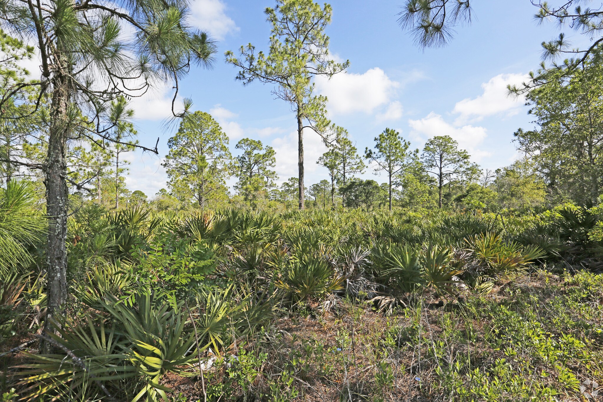 2000 SR 66, Sebring, FL for sale Primary Photo- Image 1 of 1