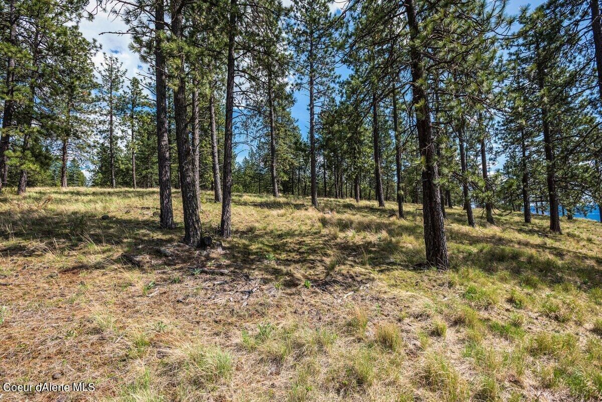 Stonegate at Harrison, Harrison, ID 83833 - Land for Sale | LoopNet