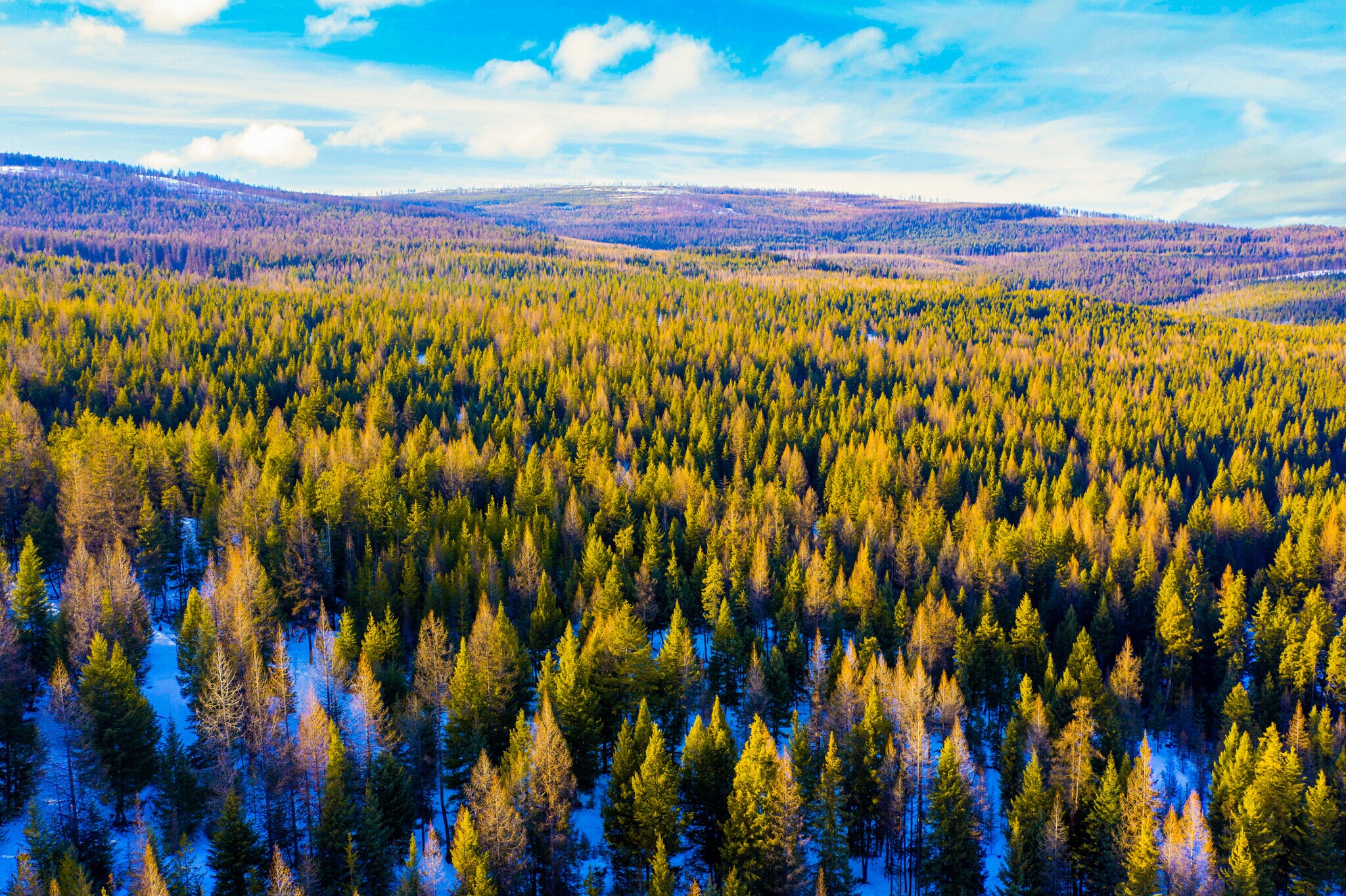 Nhn Lot 11 Tamarack Lane, Rexford, MT for sale Aerial- Image 1 of 1