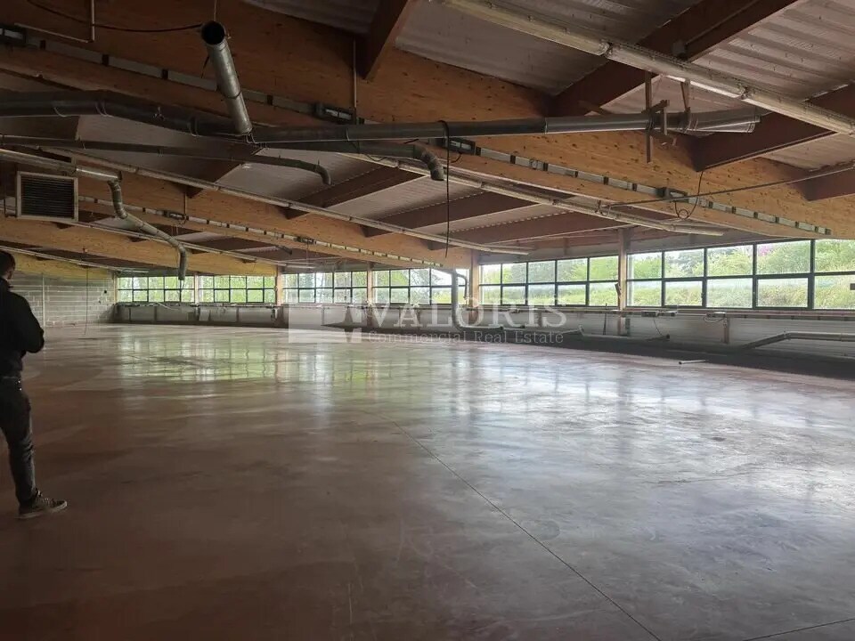 Location Local d'activités 1 747 m² - Photo 1