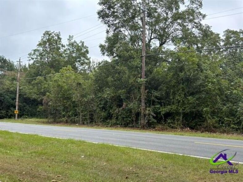 Lot 7 & 8 Taylors Mill Road, Fort Valley, GA for sale - Building Photo - Image 3 of 6