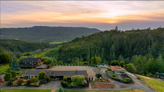 1550 Moon Mountain Rd, Sonoma CA - Vineyard