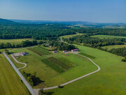 Broad Mountain Vineyard and Events Venue - Vineyard