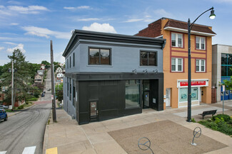 More details for 826 Brookline Blvd, Pittsburgh, PA - Retail for Sale