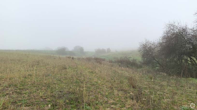 Polígono 12, Villaviciosa de Odón, Madrid for sale - Building Photo - Image 3 of 14