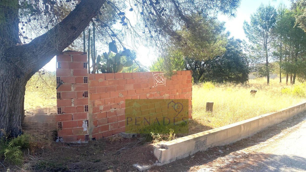 Land in Ontinyent for sale - Building Photo - Image 3 of 5