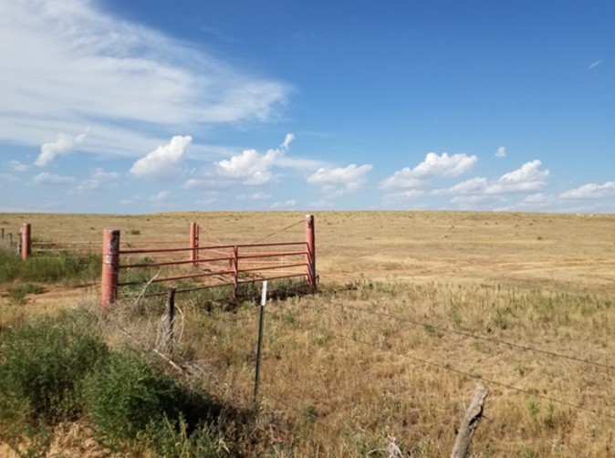 County Rd V, Lazbuddie, TX for sale Primary Photo- Image 1 of 1