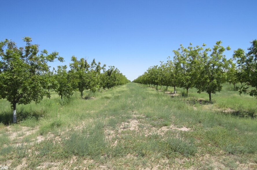 0 Hwy 38, Cotton City, NM for sale - Aerial - Image 2 of 26
