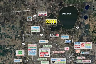 SEC of US 441, Summerfield FL - Land
