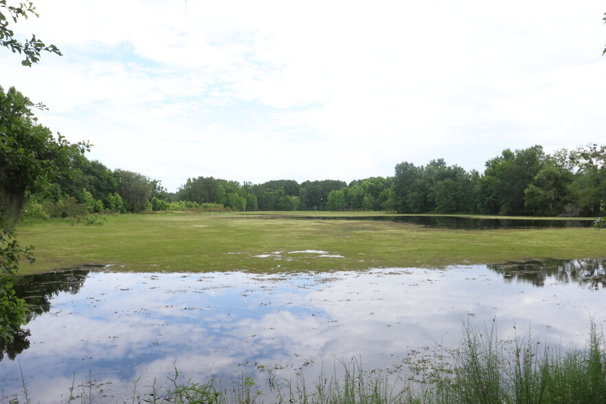 Bassett Dairy rd, Monticello, FL for sale - Primary Photo - Image 1 of 1