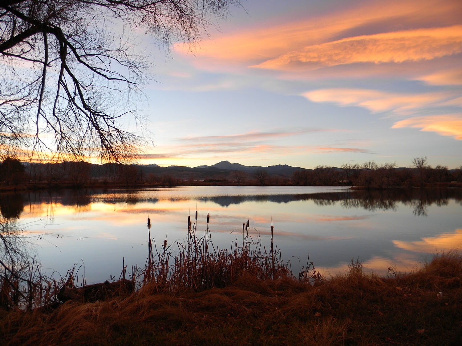 139 Hover St, Longmont, CO for sale Other- Image 1 of 1