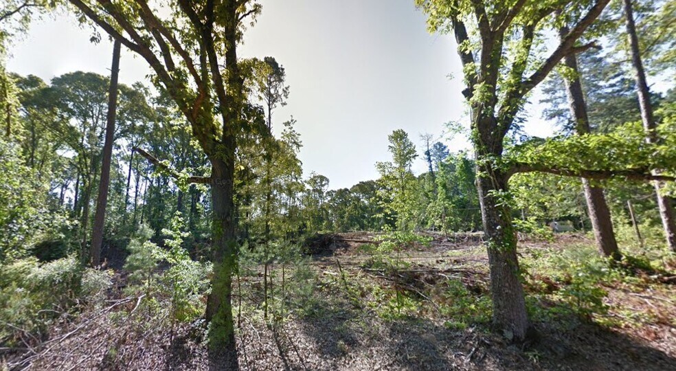 TBD Hwy 121, Boyce, LA 71409 Land for Sale