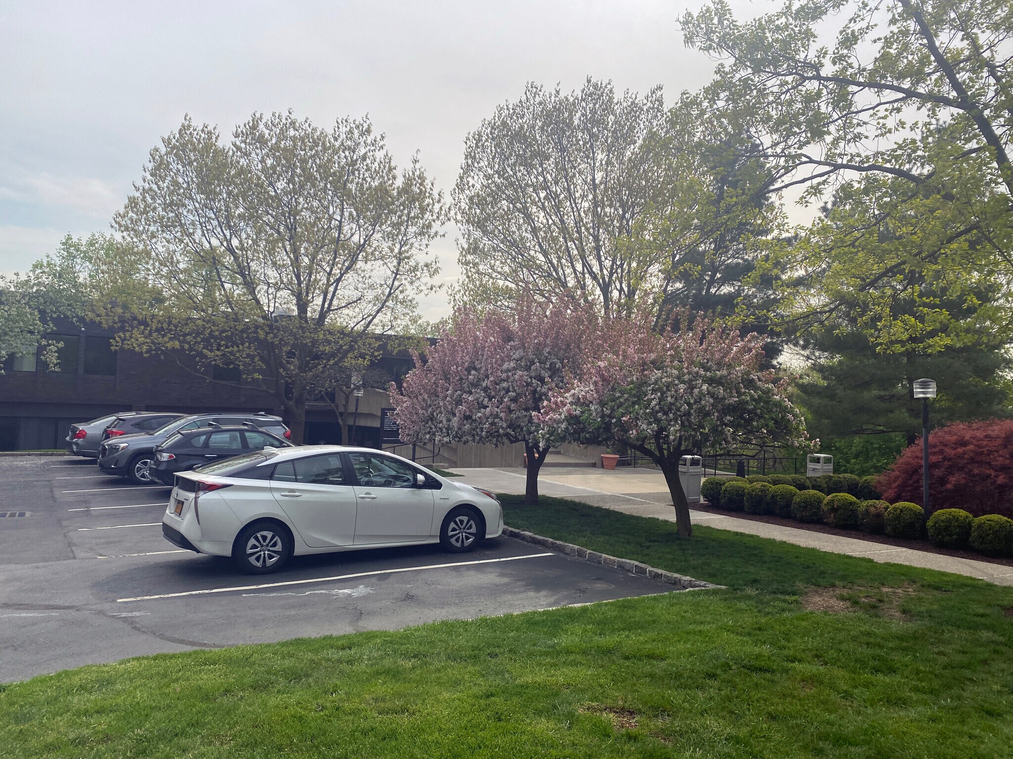 503 Grasslands Rd, Valhalla, NY 10595 Office/Medical for Lease