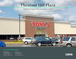 More details for 241-295 S Bolingbrook Dr, Bolingbrook, IL - Retail for Lease