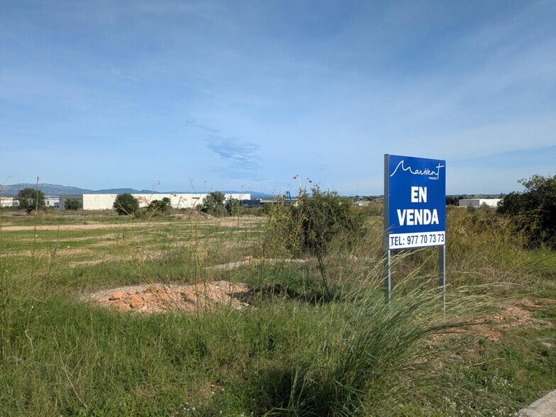 Land in Amposta, Tarragona for sale - Building Photo - Image 3 of 4