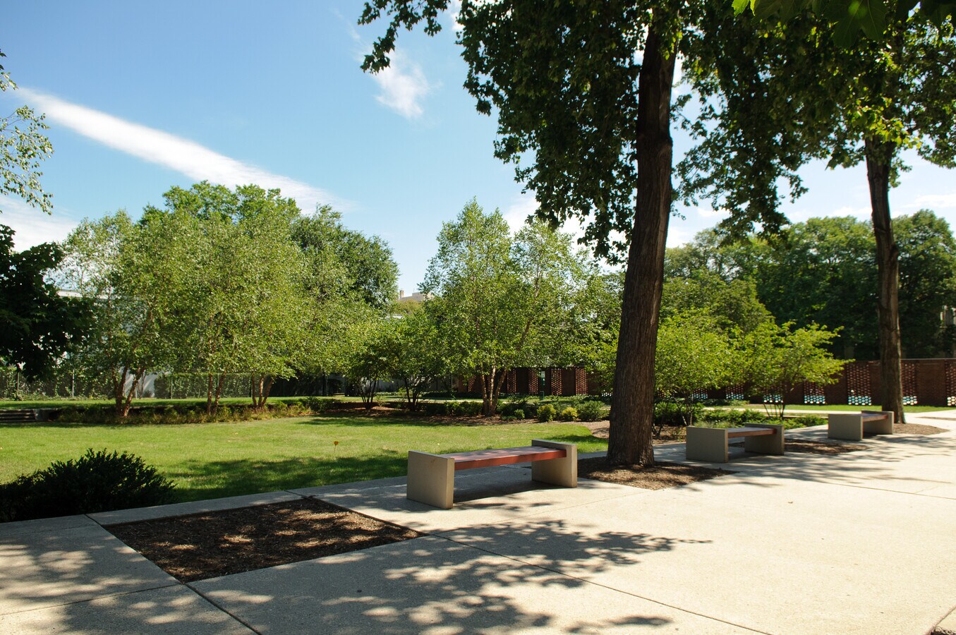 View Photo