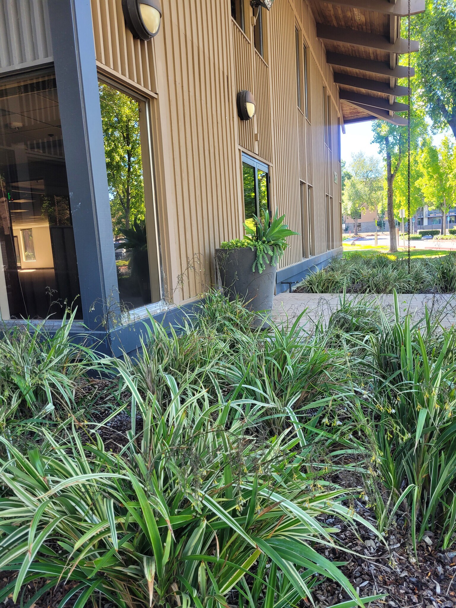 Walnut Creek Dr 20 - r2l9sys