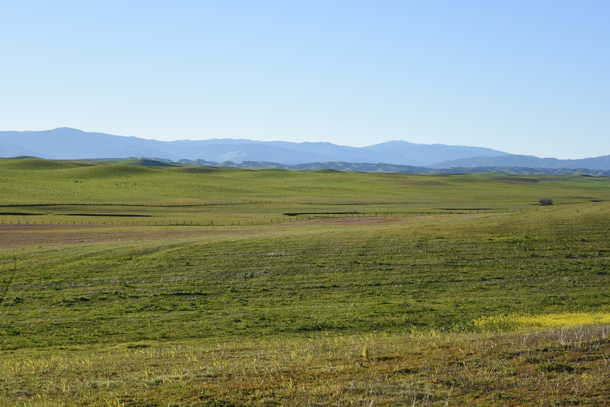 Road 33, Artois, CA 95913 - 4,663 Acres Artois, Glenn County | LoopNet