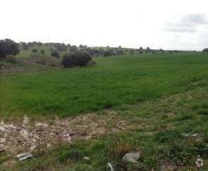 Land in Sevilla la Nueva, Madrid for sale - Primary Photo - Image 1 of 2