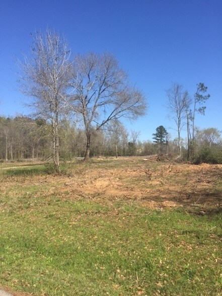 329 S Magnolia, Conroe, TX for sale - Building Photo - Image 1 of 1