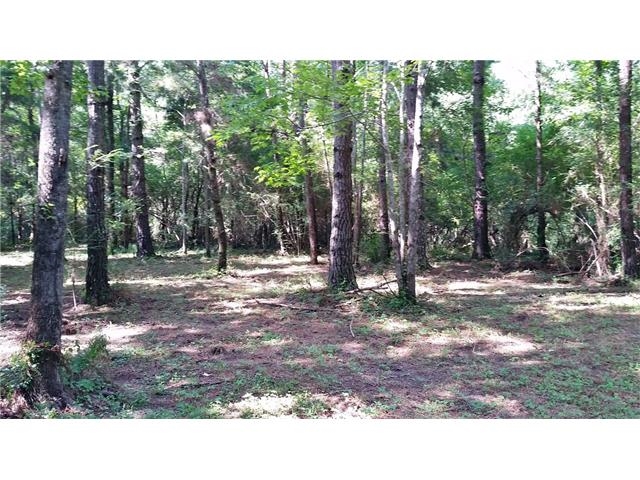 Choctaw Dr, Tickfaw, LA for sale - Primary Photo - Image 1 of 1