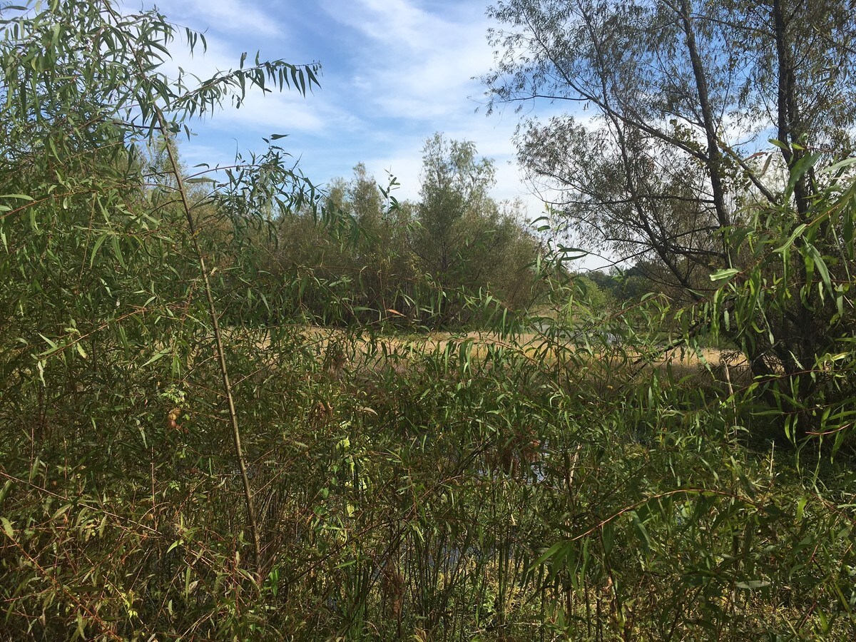 Woodson Lateral Rd, Woodson, AR 72180