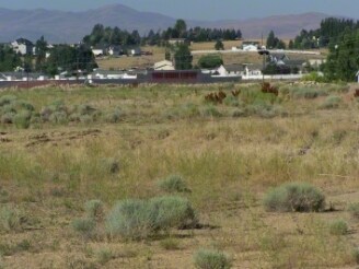 250 Bluffs Ave, Elko, NV for sale Primary Photo- Image 1 of 1