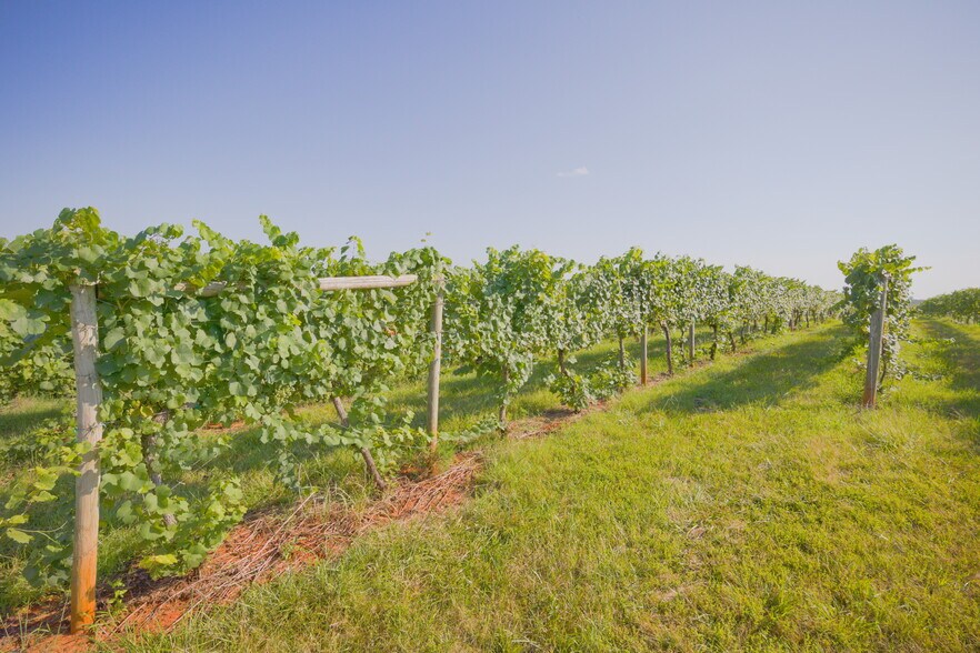 1351 N Amherst Hwy, Amherst, VA for sale - Building Photo - Image 1 of 1