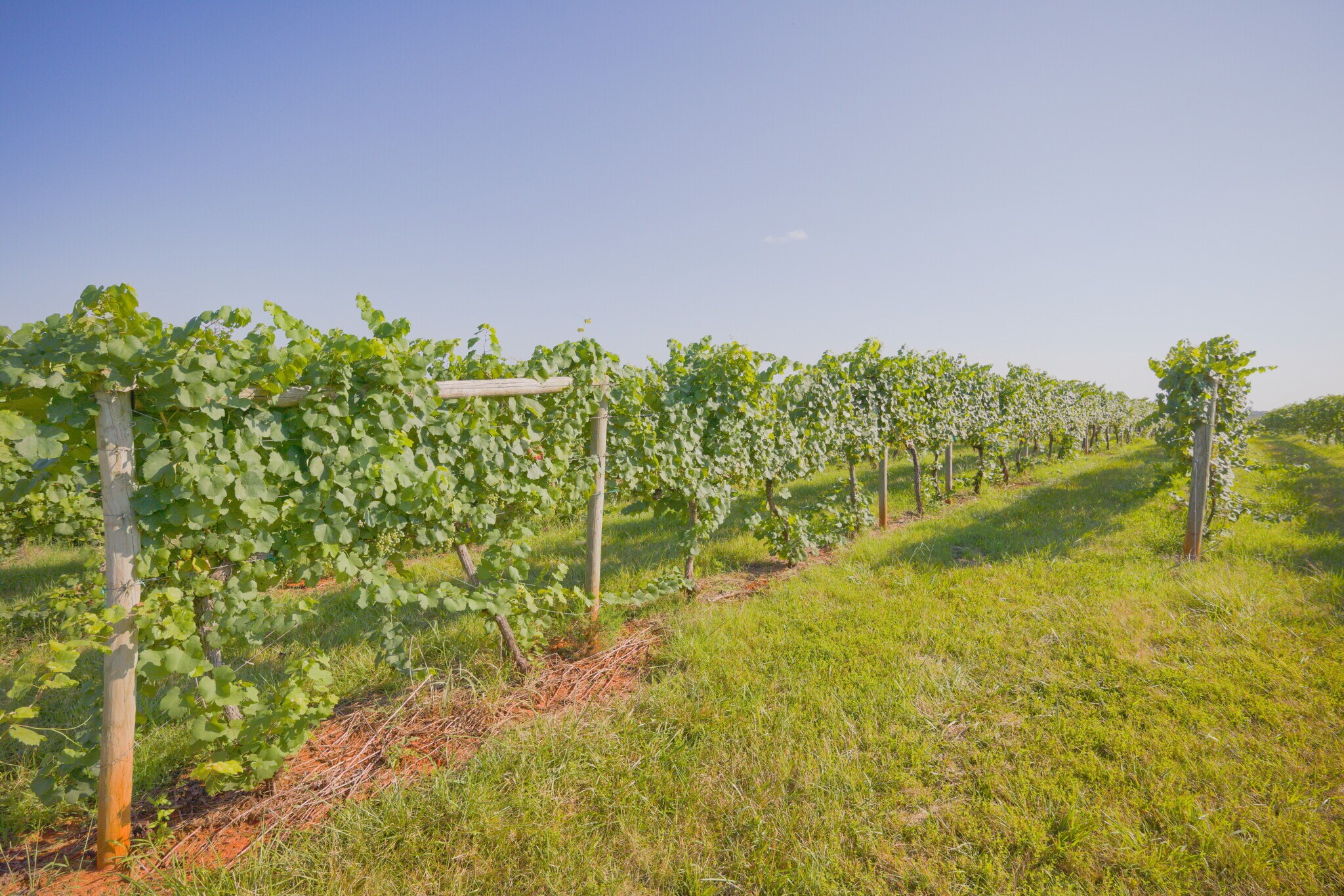 1351 N Amherst Hwy, Amherst, VA for sale Building Photo- Image 1 of 1