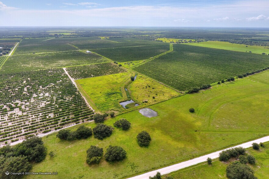 5015 Fish Branch Rd, Zolfo Springs, FL 33890 520± Acres Orange Grove