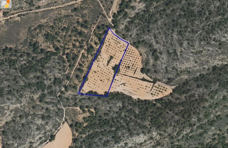 Land in MURCIA for sale - Building Photo - Image 3 of 6