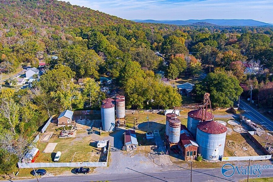 407 E Maple Ave, Scottsboro, AL for sale - Primary Photo - Image 1 of 1