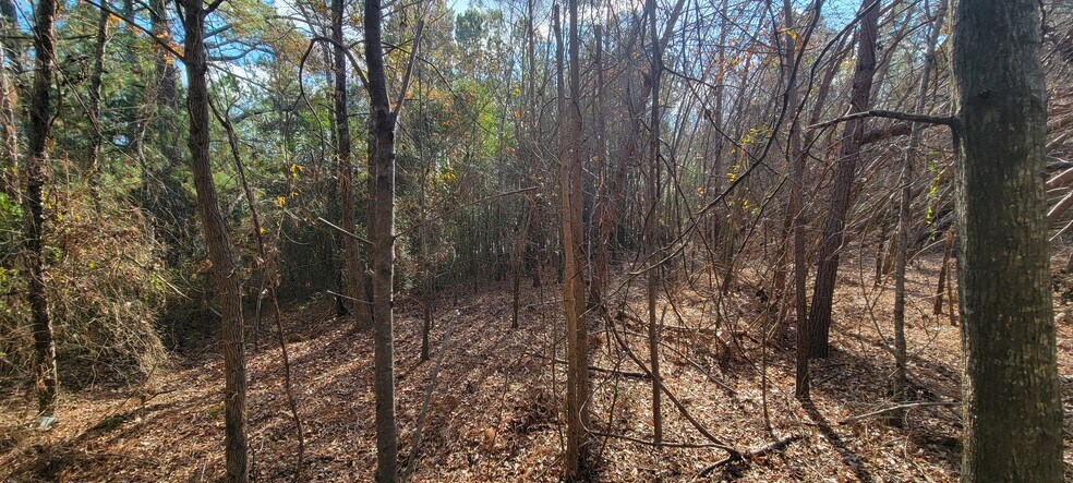 Southport Rd @ Flintridge Ct, Spartanburg, SC for sale - Building Photo - Image 2 of 8