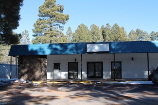 More details for 674 E White Mountain Blvd, Pinetop, AZ - Office/Retail for Lease