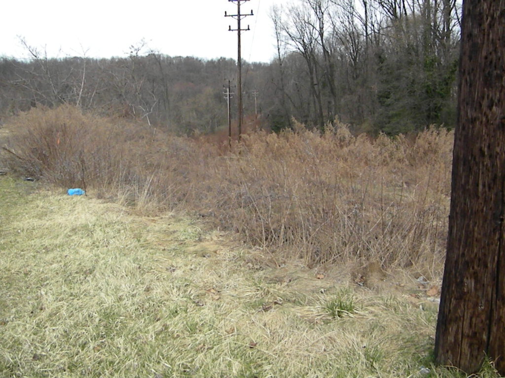 1133 Glenn Ave, Mckeesport, PA 15133 Land for Sale