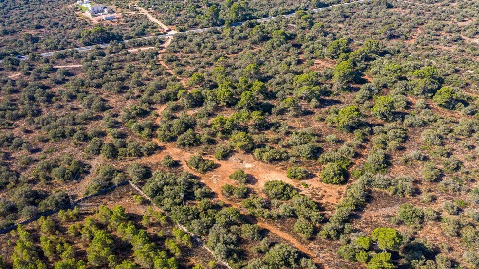 Land in Llucmajor for sale - Aerial - Image 2 of 9