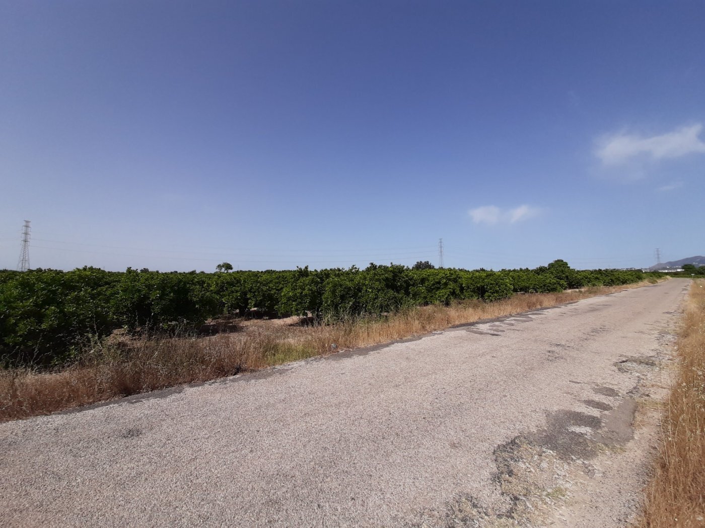 Land in Alzira, Valencia for sale Building Photo- Image 1 of 15