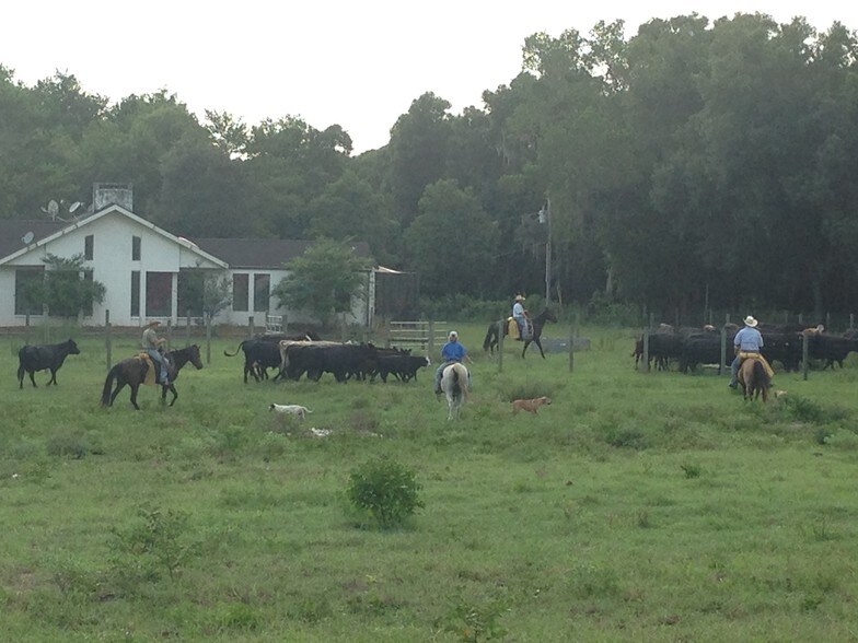 13838 Hays Rd, Spring Hill, FL for sale - Building Photo - Image 3 of 4
