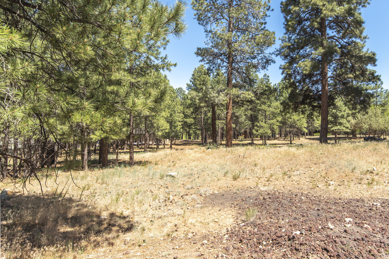 1630 N Slippery Rock Rd, Flagstaff, AZ 86004 | LoopNet