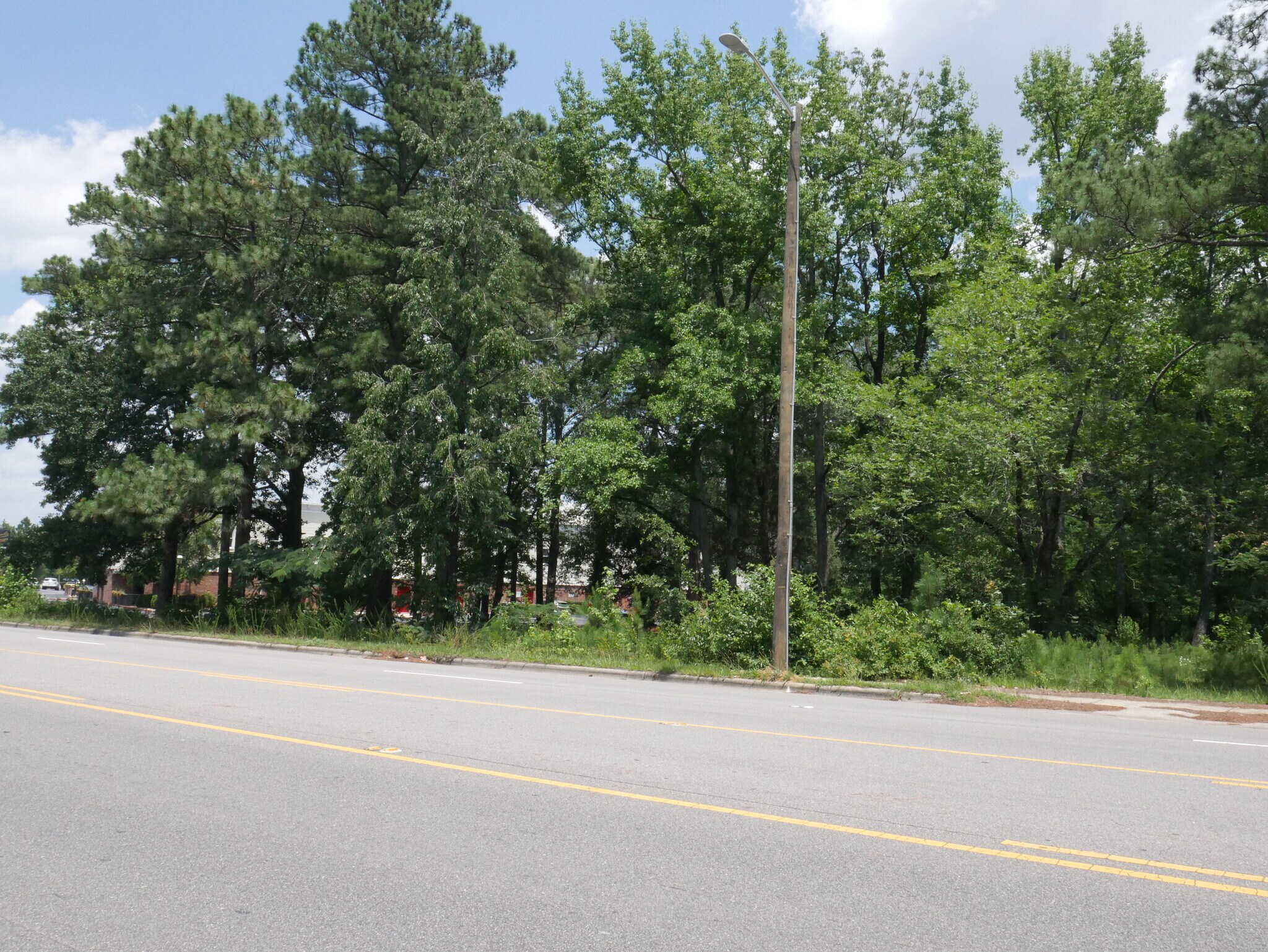 205 S McPherson Church Rd, Fayetteville, NC 28303 Stamitoles Acreage