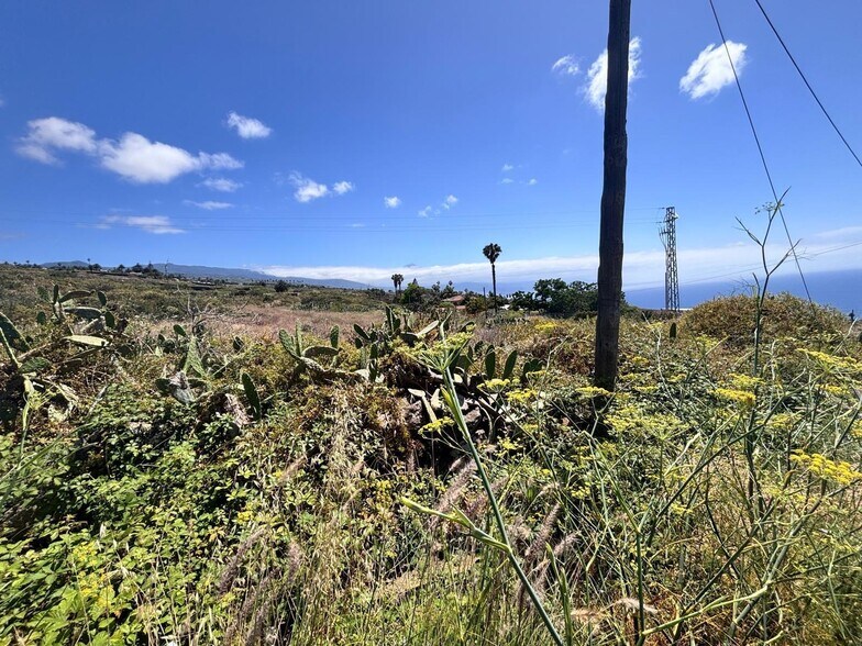 Land in Tacoronte, Santa Cruz de Tenerife for sale - Aerial - Image 2 of 19