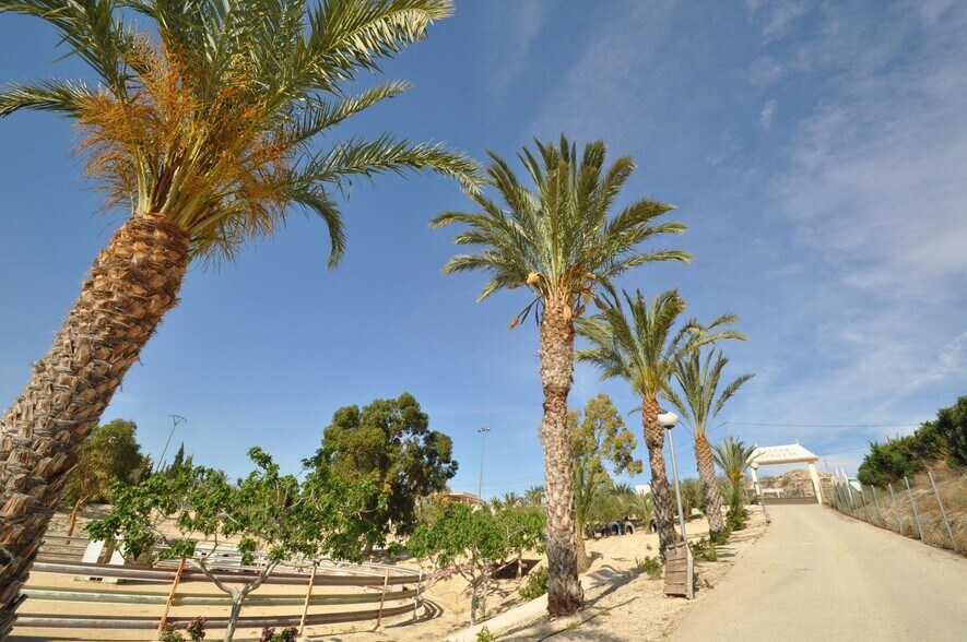 Retail in Abanilla for sale - Building Photo - Image 1 of 50