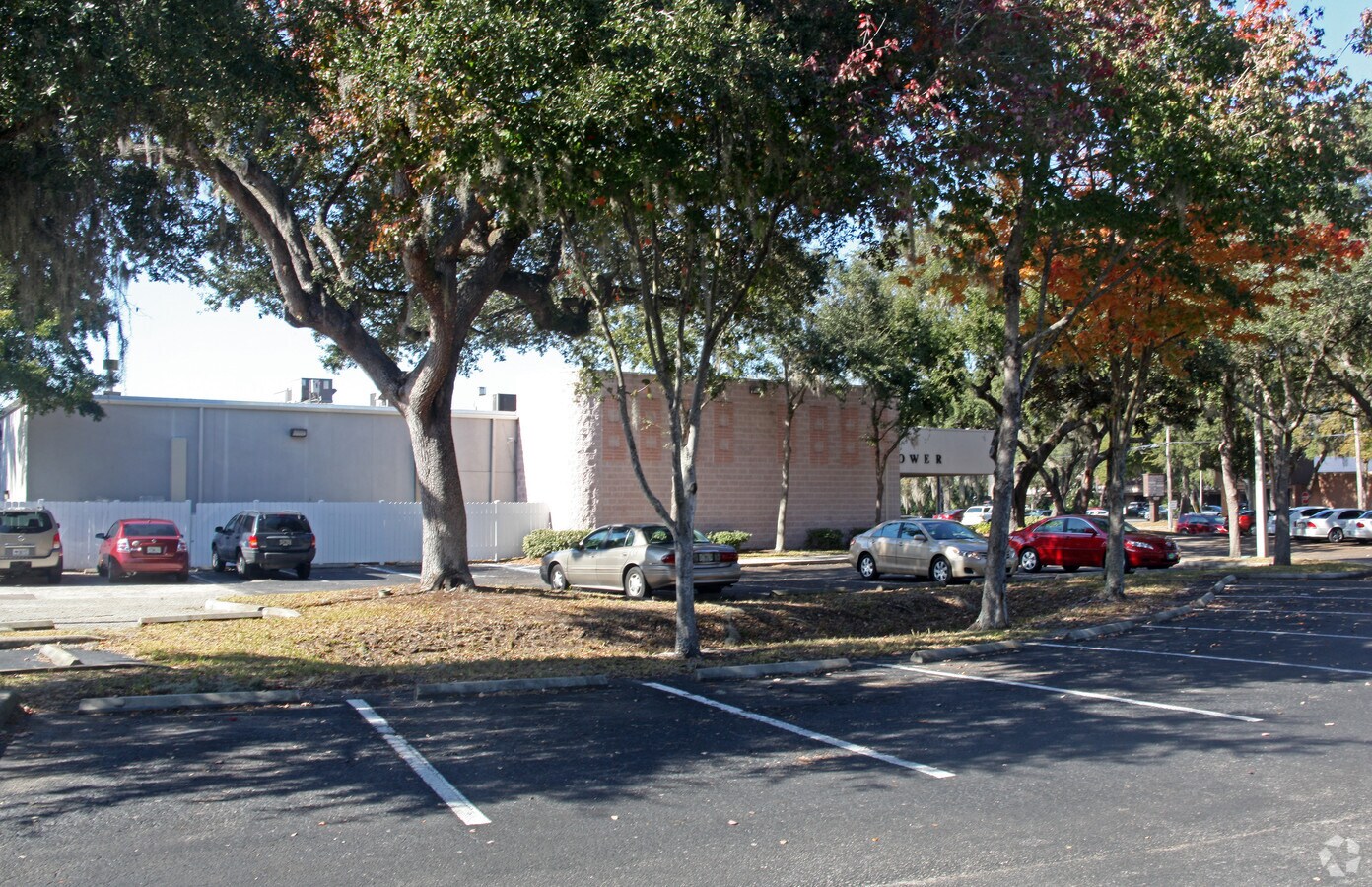 403 N Kings Ave, Brandon, FL 33510