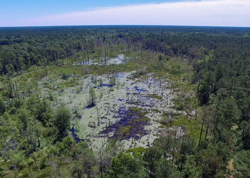 0 Old Camp Rd, Bonneau, SC for sale - Primary Photo - Image 1 of 1