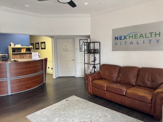 36310-36472 Us Hwy 19 N, Palm Harbor, FL for lease Interior Photo- Image 1 of 4