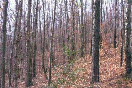 0 Cityview Dr, Austell, GA for sale - Primary Photo - Image 1 of 1